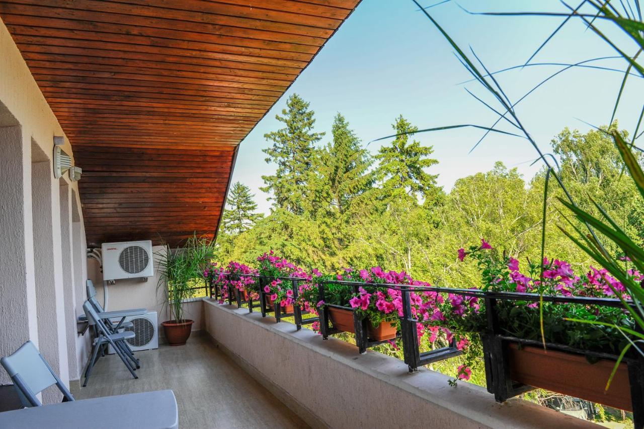 Villa Alice Szucsáva Kültér fotó